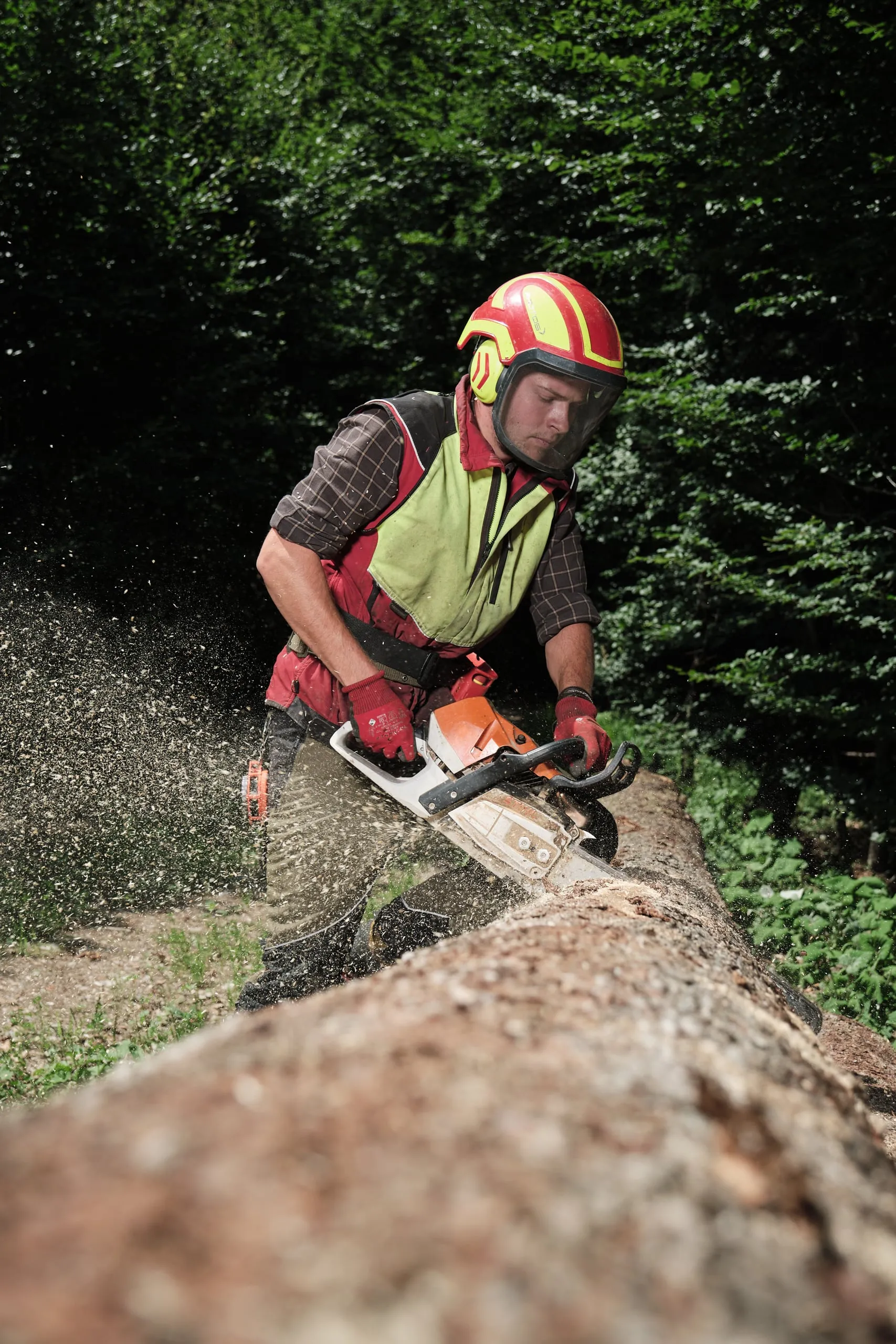 Ein Forstarbeiter mit Helm sägt im Wald einen Baumstamm, die Späne fliegen.