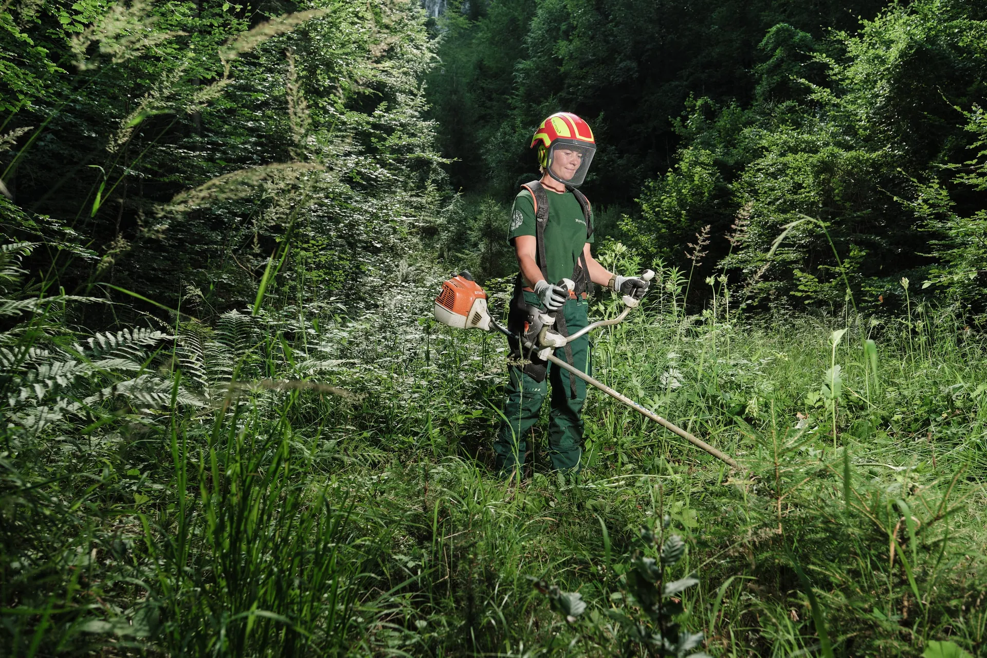 Ein Mann mit Schutzhelm mäht am Waldrand hohes Gras mit dem Freischneider.