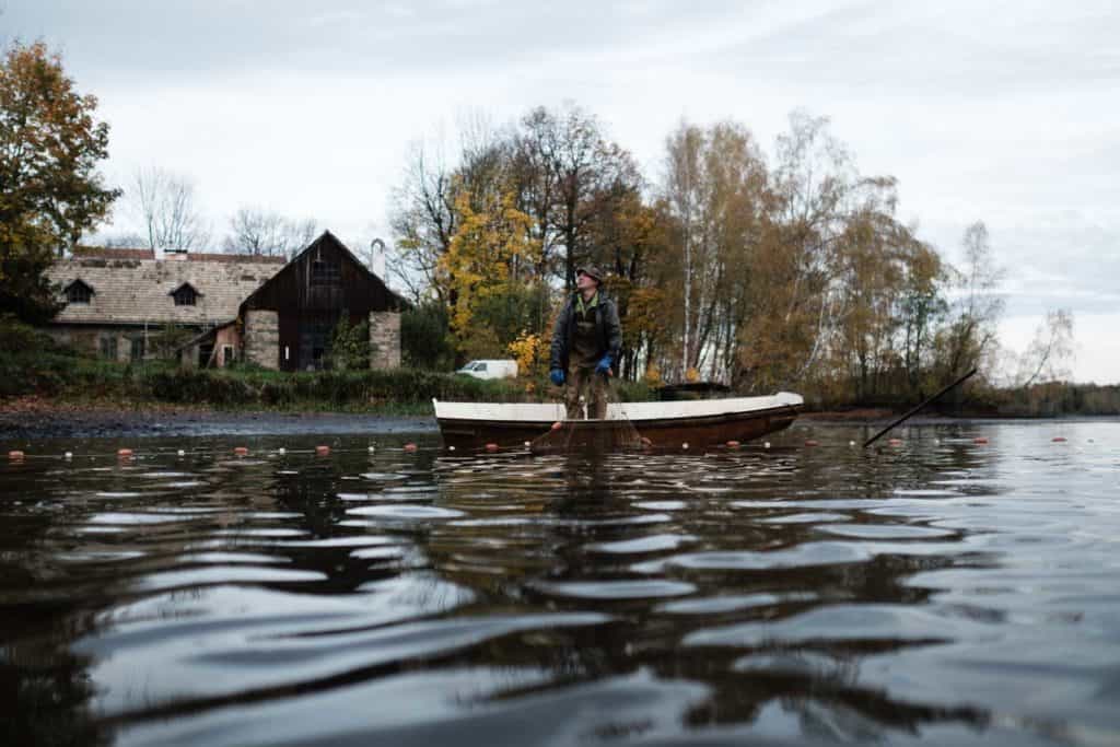 Im Haslauer Teich bei Heidenreichstein im nördlichen Waldviertel werden jeden Herbst heimischen Speisefischen in Bioqualität abgefischt. Fotoreportage über Fischen, Reportage Fotograf Wolfgang Lehner based in Linz Austria, visuelle Social Media Content