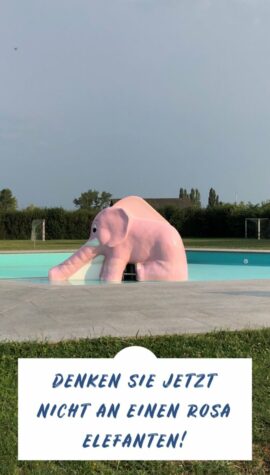Instagram Story: Denken Sie jetzt nicht an einen rosa Elefanten!