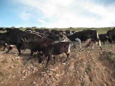 Tibetreise, Fotogreportage über Tibet, Menschen und Landschaft