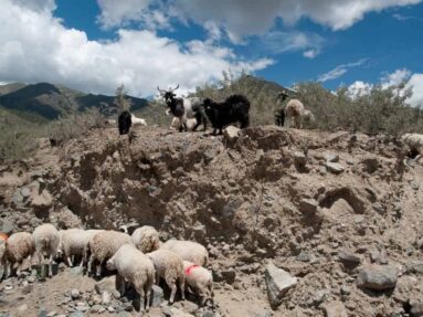 Tibetreise, Fotogreportage über Tibet, Menschen und Landschaft